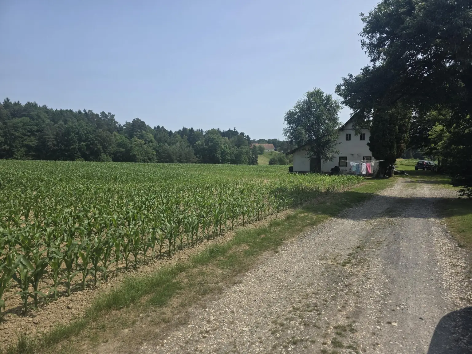 Bauernhaus (stark sanierungsbedürftig) mit viel Grund und kleinem Teich