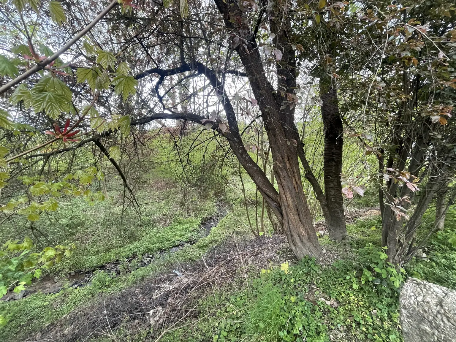 Baugrundstück naturnah gelegen...