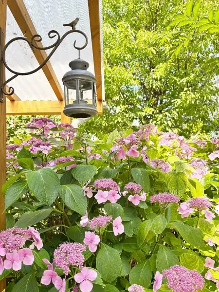 GARTENPARADIES MIT EINFAMILIENHAUS-FLAIR!