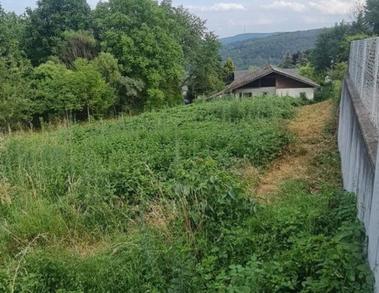 **TRAUMGRUNDSTÜCK AM ÖLBERG KLOSTERNEUBURG **