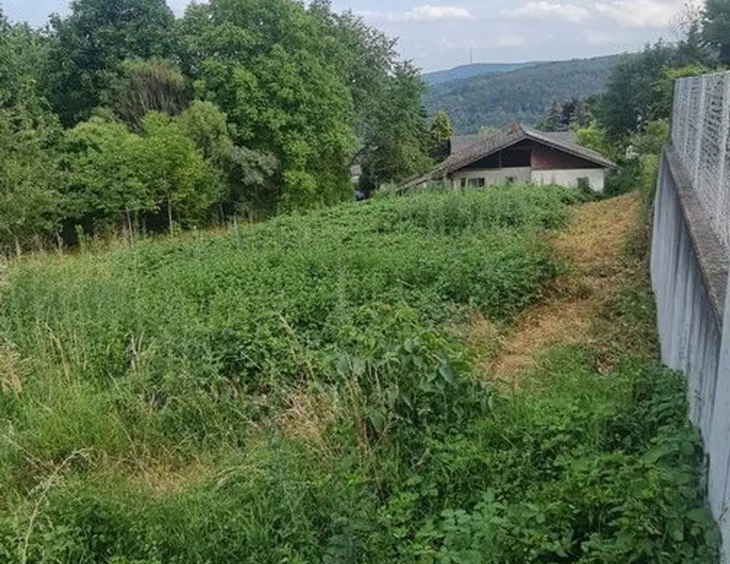 **TRAUMGRUNDSTÜCK AM ÖLBERG KLOSTERNEUBURG **