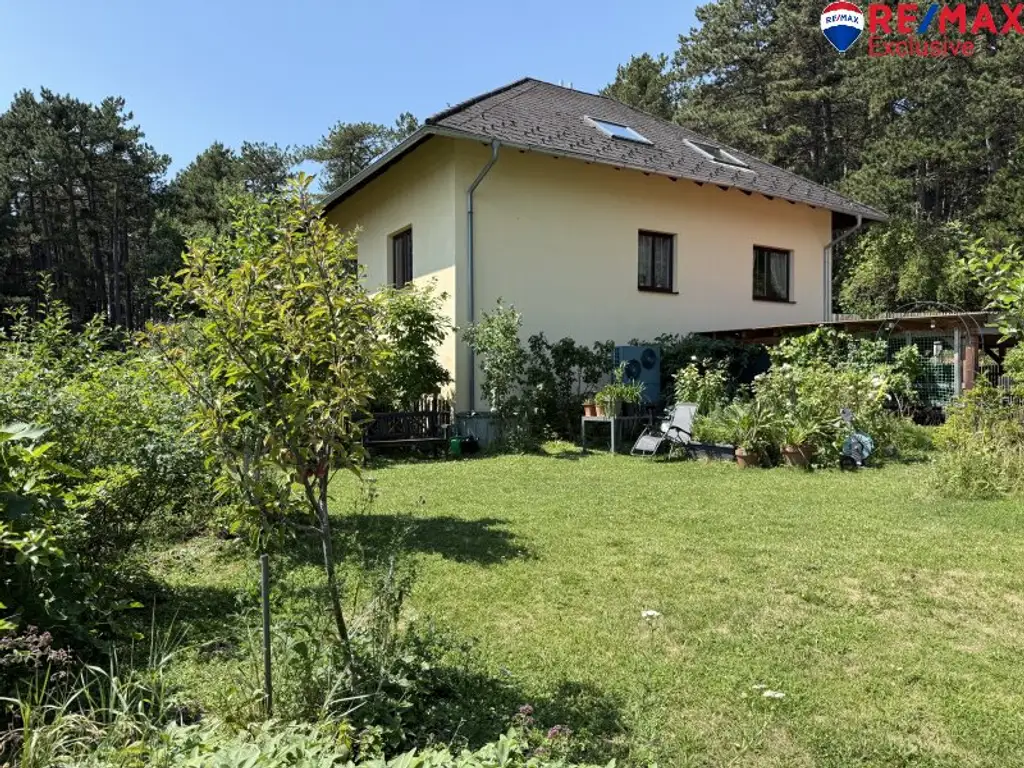 Hohe Wand - Einfamiliehaus mit 3 Wohneinheiten auf 1.100 m² Grund!