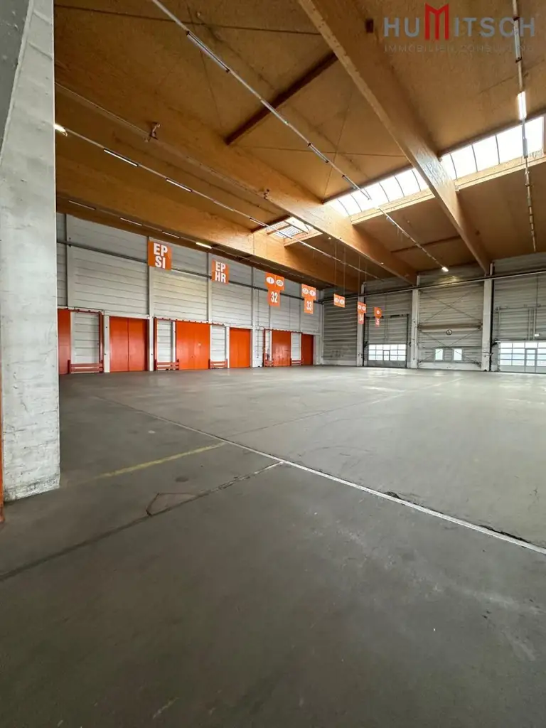 Hallenflächen in Graz-Puntigam