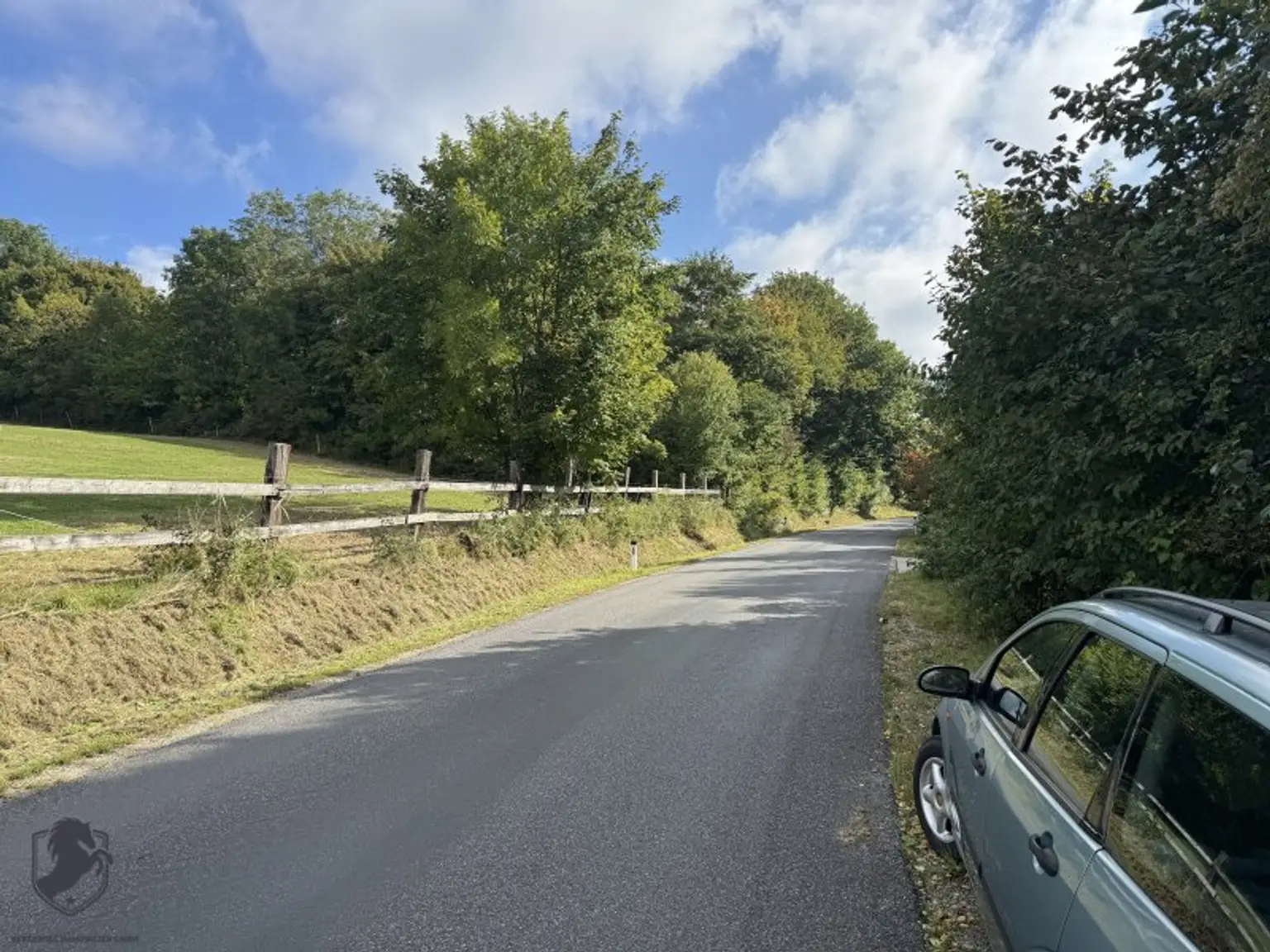 Einfamilienhaus mit großem Keller und traumhaftem Wald-Blick