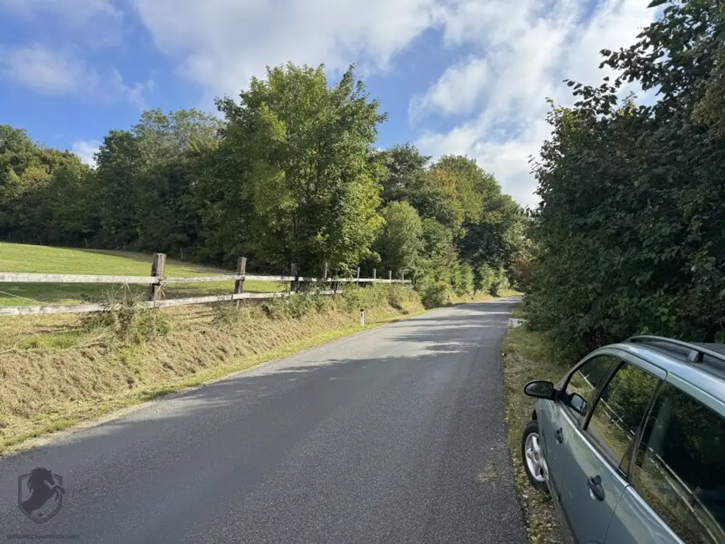 Einfamilienhaus mit großem Keller und traumhaftem Wald-Blick
