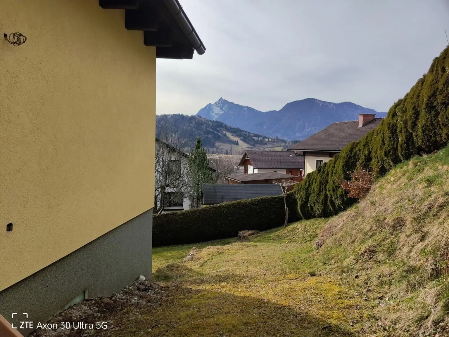 Teil des Garten
