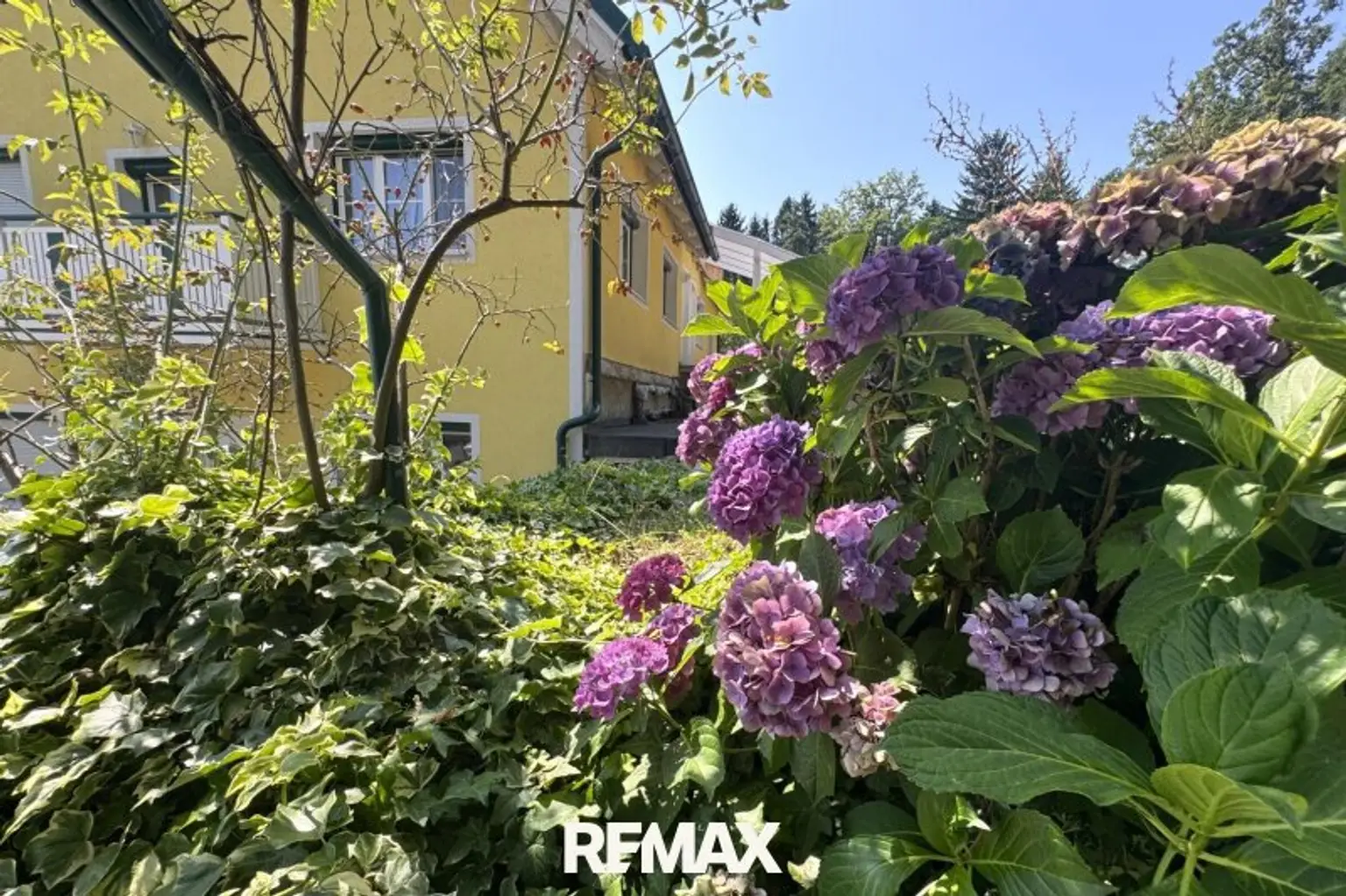 Blumen