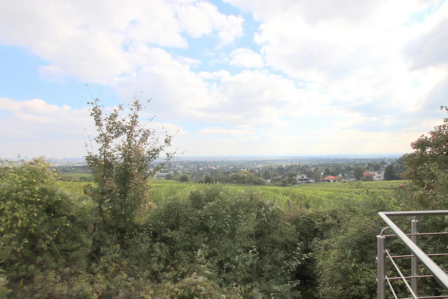 Eigengrund: Grünland mit Gartenhaus - Großes Grundstück in Mauer am Kadoltsberg - direkt am Lainzer Tiergarten