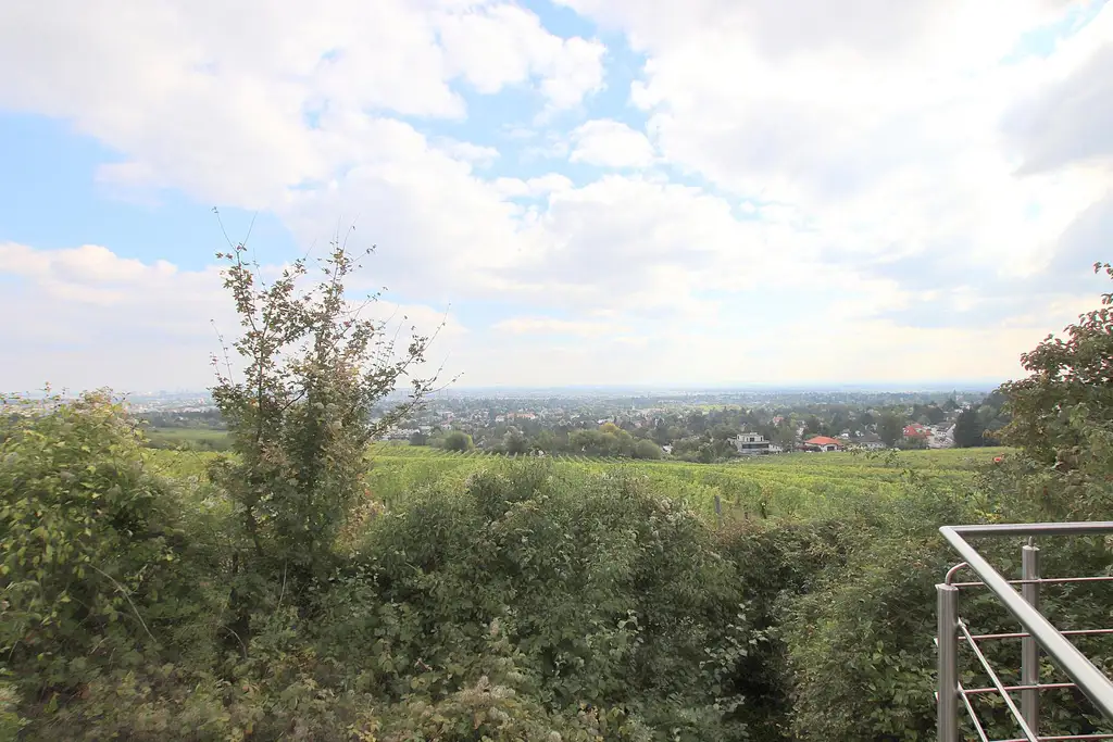 Eigengrund: Grünland mit Gartenhaus - Großes Grundstück in Mauer am Kadoltsberg - direkt am Lainzer Tiergarten