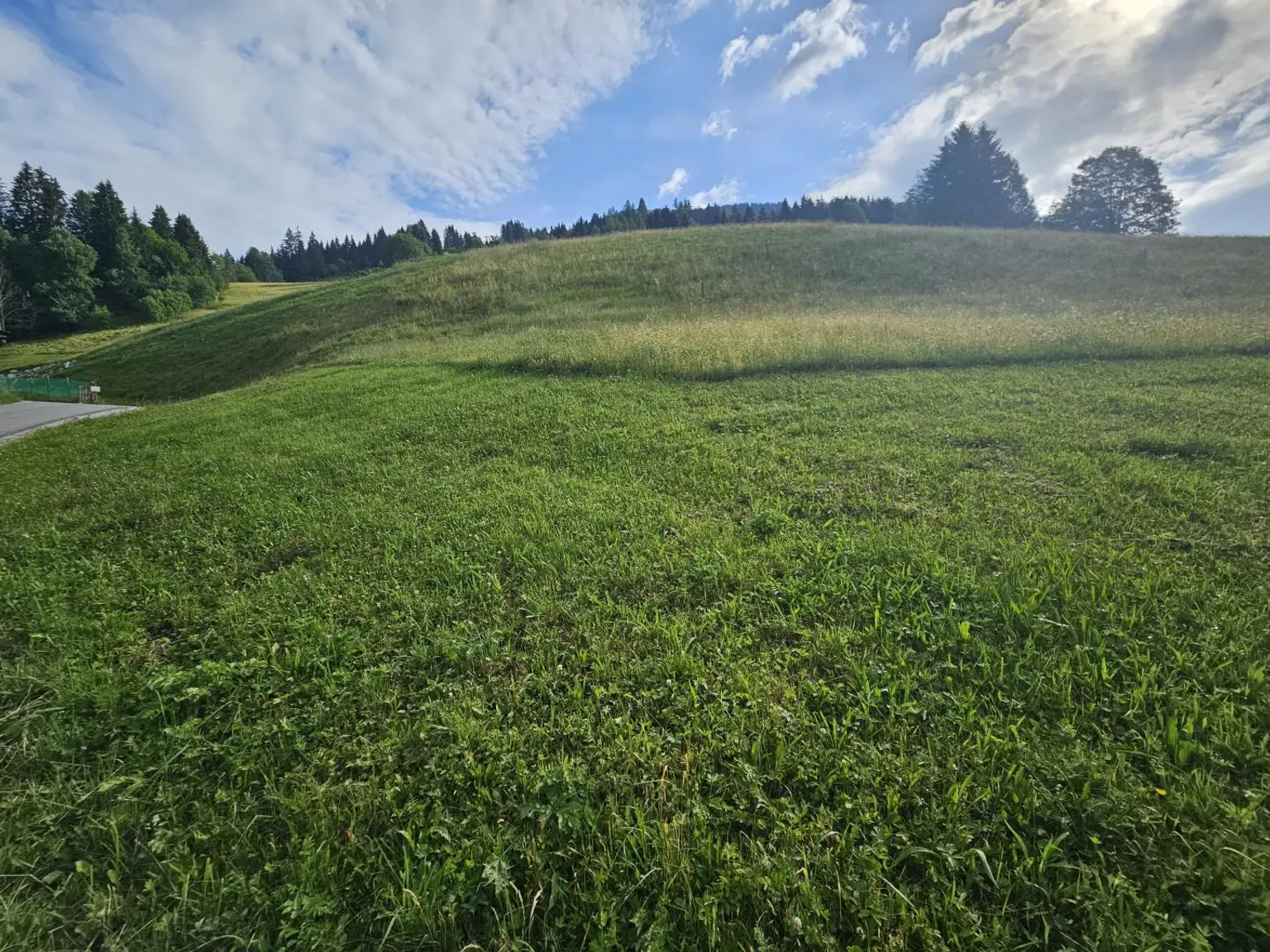 Grundstück