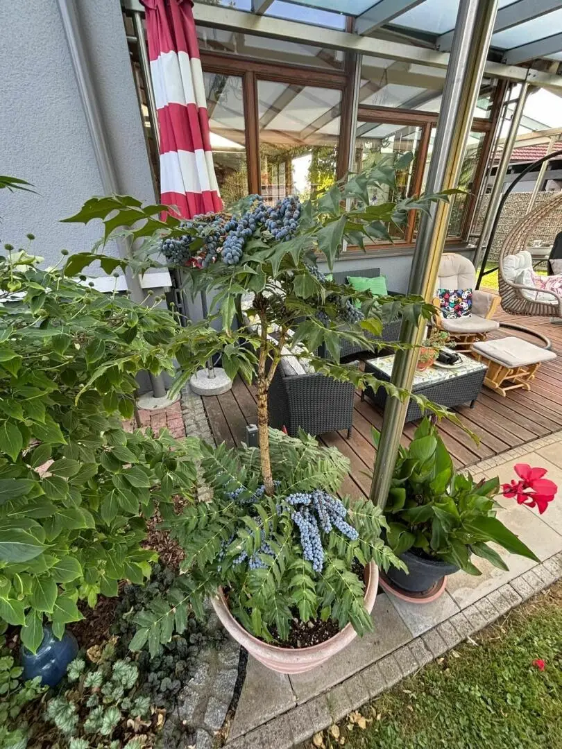 **RARITÄT**Einzigartiges Haus in BESTLAGE in unmittelbarer Nähe zur Therme**parkähnlicher Garten**Wintergarten**Nebengebäude mit Fitness**uvm ...!**