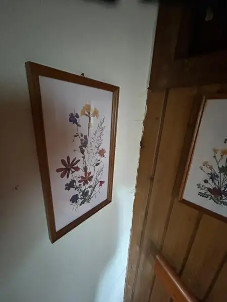 Region Hochrindl, tolles Alm Haus 80 m² mit 1500m² Grundstück, Wasser Quelle, Terrasse, öffentliche  Zufahrt  Kärnten, Preis € 169 000 !