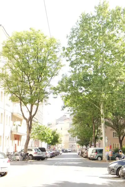 Erfolgreich studieren In Wien!