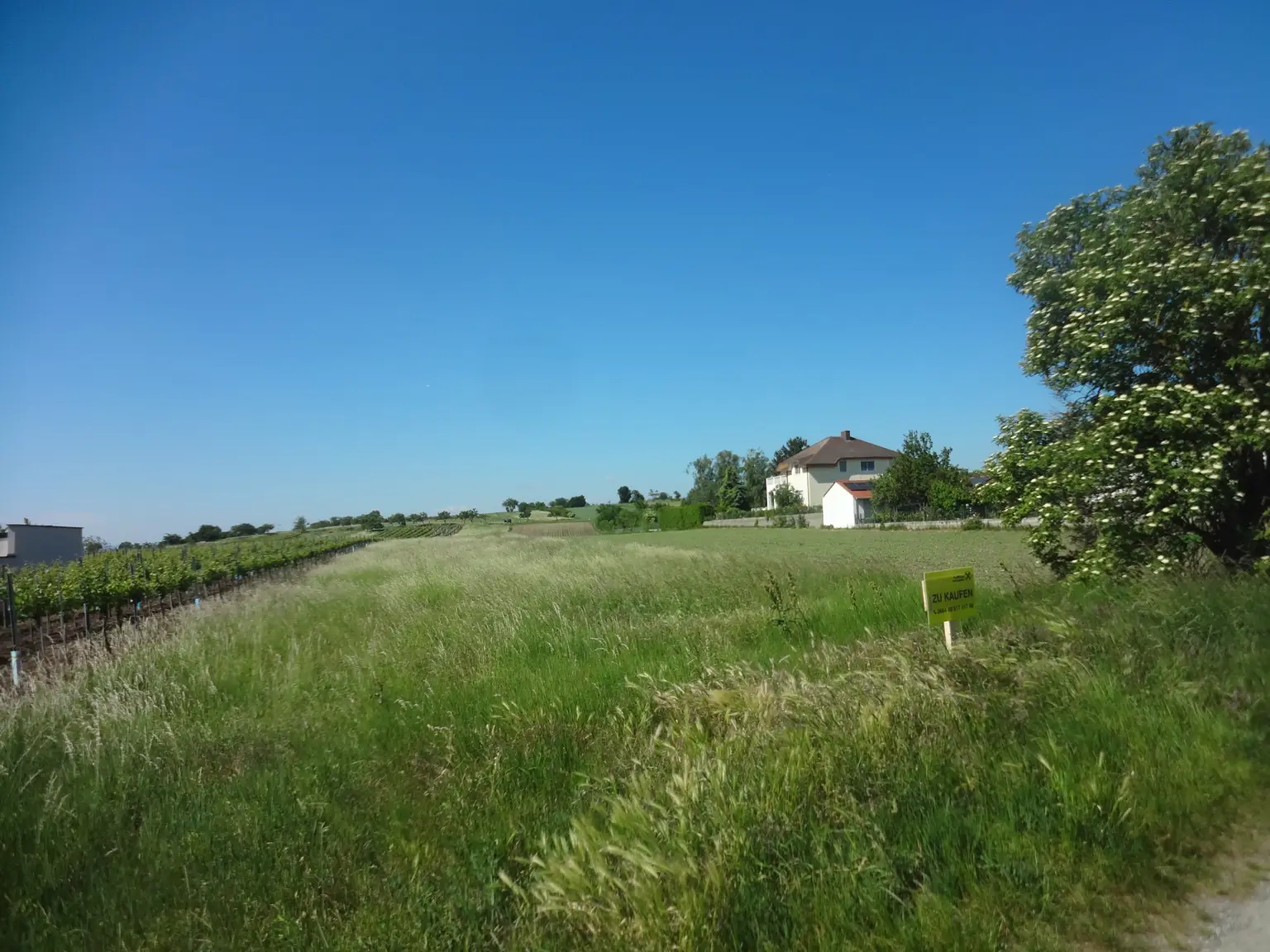 DSC09646