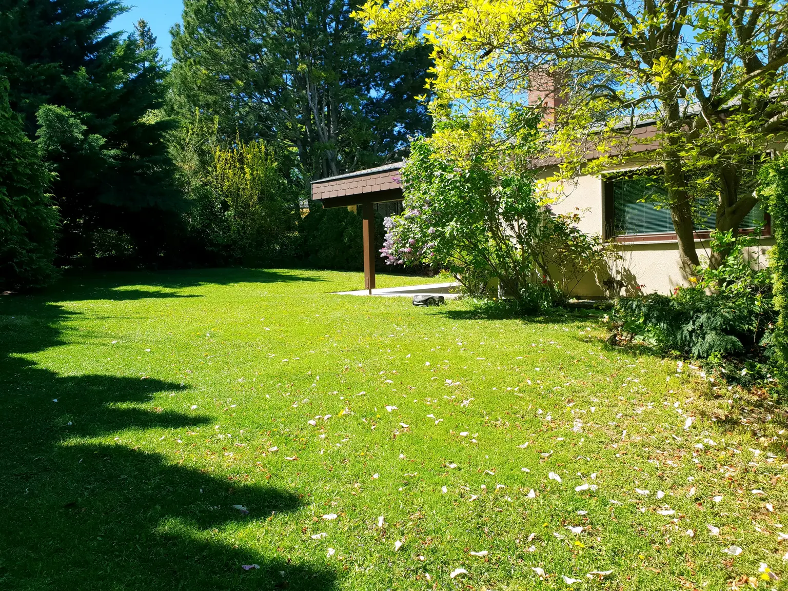 Edler Bungalow mit Keller + Garage in Top Lage!