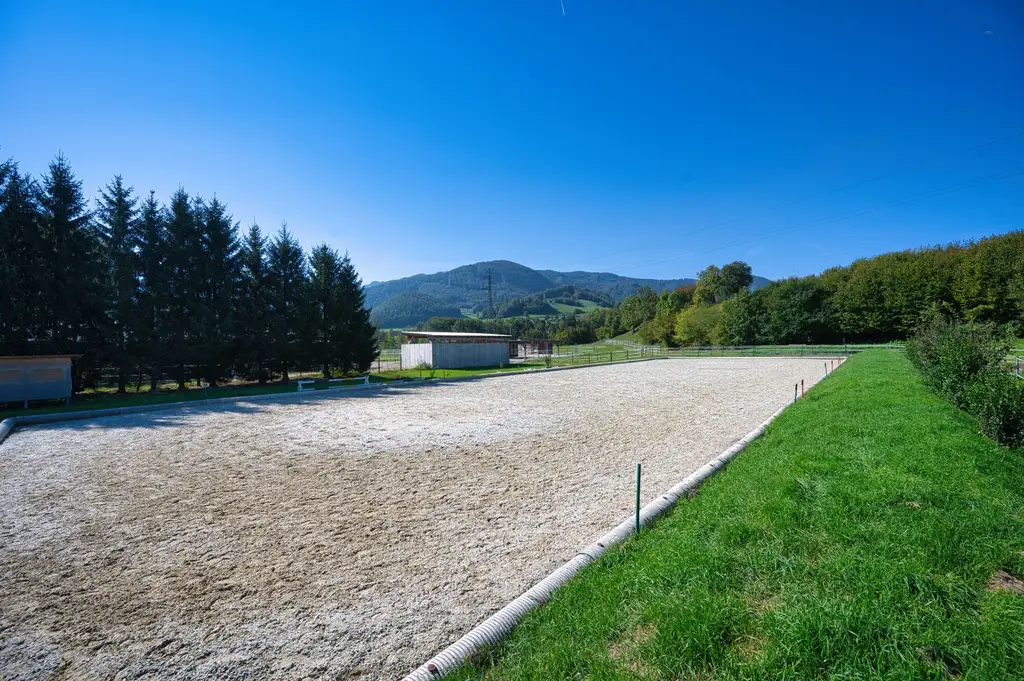 Reiterhof. Vierkanter. Wirtshaus. Zimmervermietung. Wohnungen. Natur.