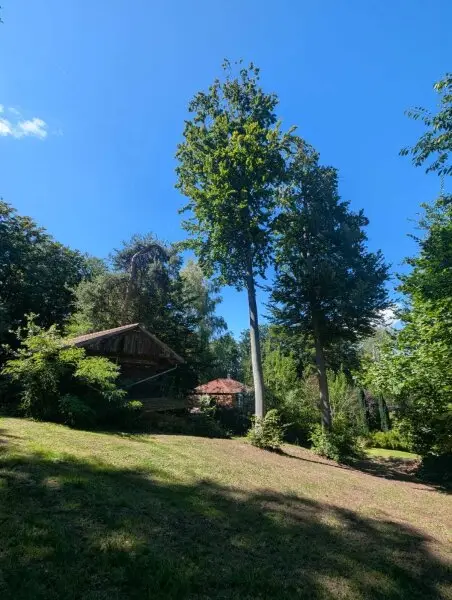 Wunderschöne Villa mit Pool und weitläufigem Grundstück, Nähe Pressbaum