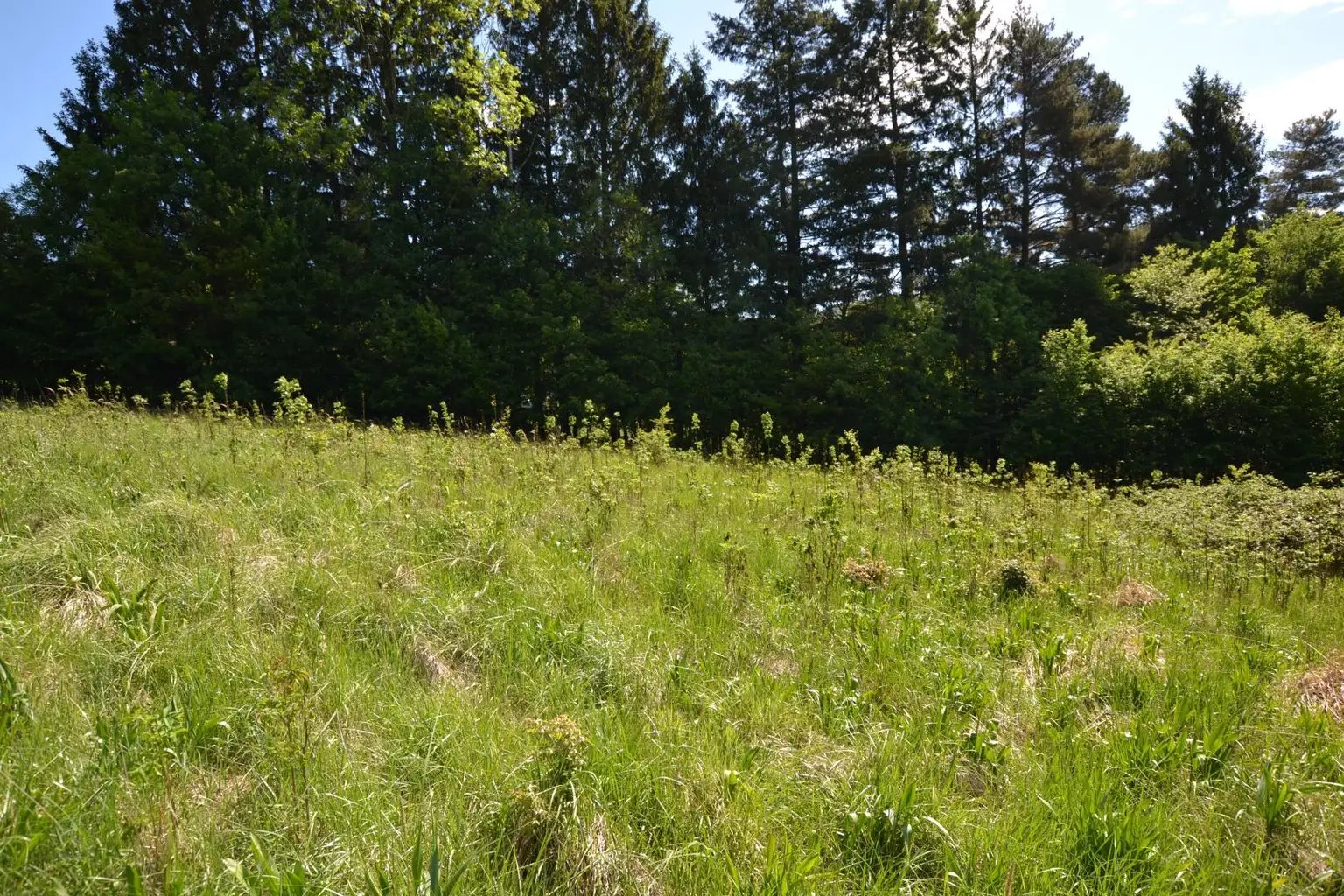 Grundstück
