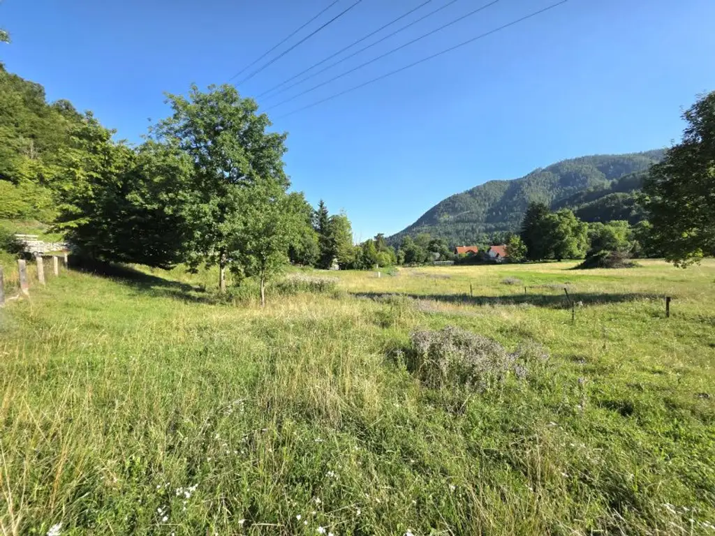 Sonniges Wohnerlebnis mit schöner Aussicht!