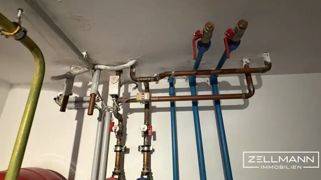 Ein Zuhause mit Raum, Substanz und Gartenidylle nahe Wien | ZELLMANN IMMOBILIEN