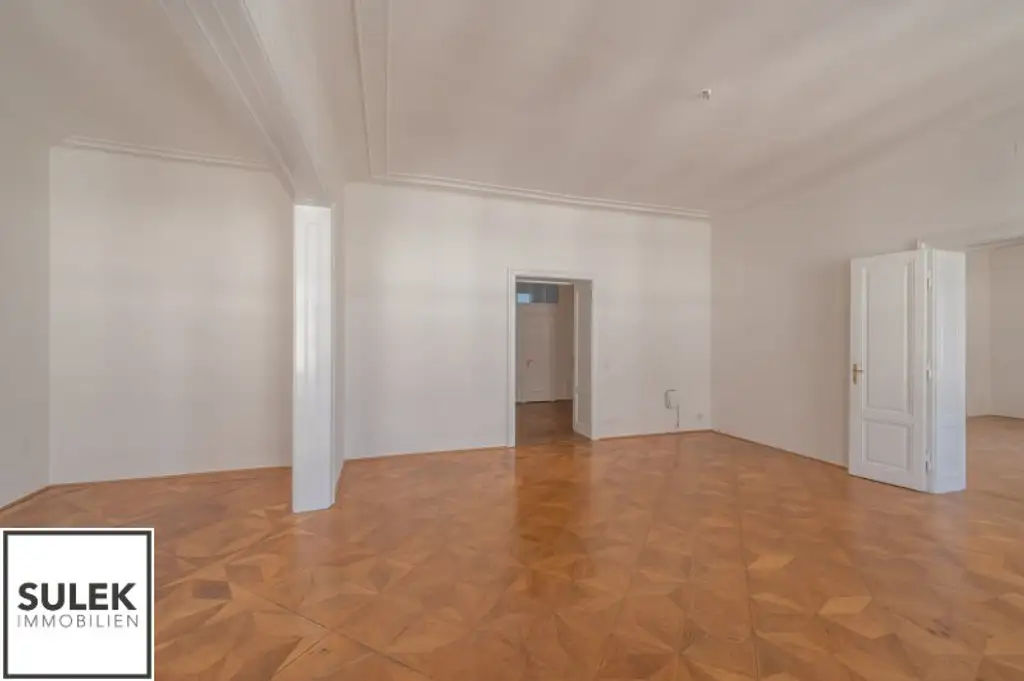 Großzügige Stadtwohnung in der Nibelungengasse: ab sofort verfügbar!