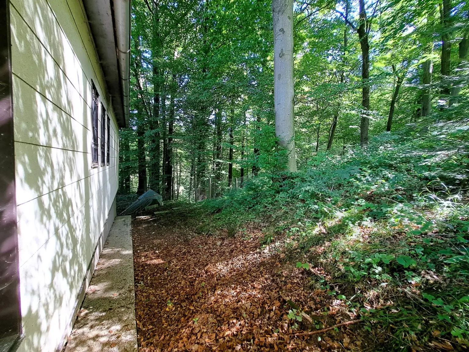 Einfamilienhaus mit Wohnrecht und 1875 m² Grund - idyllische Waldrandlage in Steyr/Fischhub