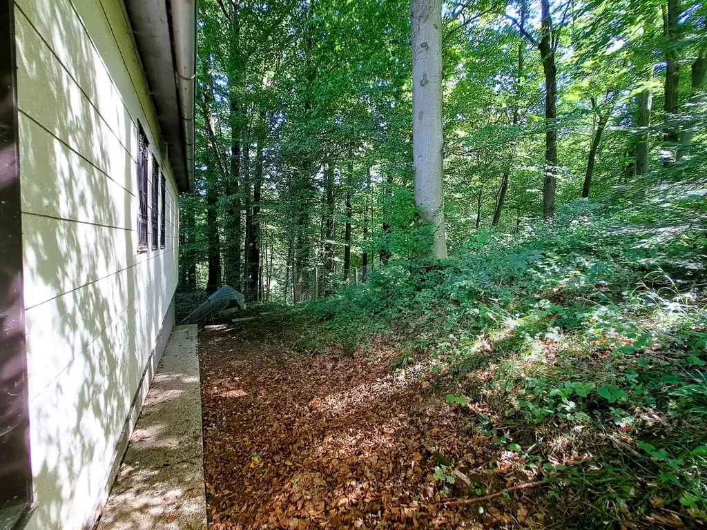 Einfamilienhaus mit Wohnrecht und 1875 m² Grund - idyllische Waldrandlage in Steyr/Fischhub