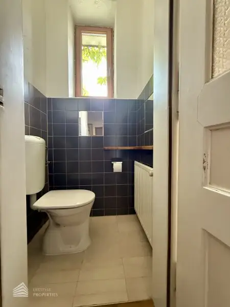 Helle Wohnung mit Balkon auf ganzer Etage zzgl. Rohdachboden, Nähe Einsiedlerpark