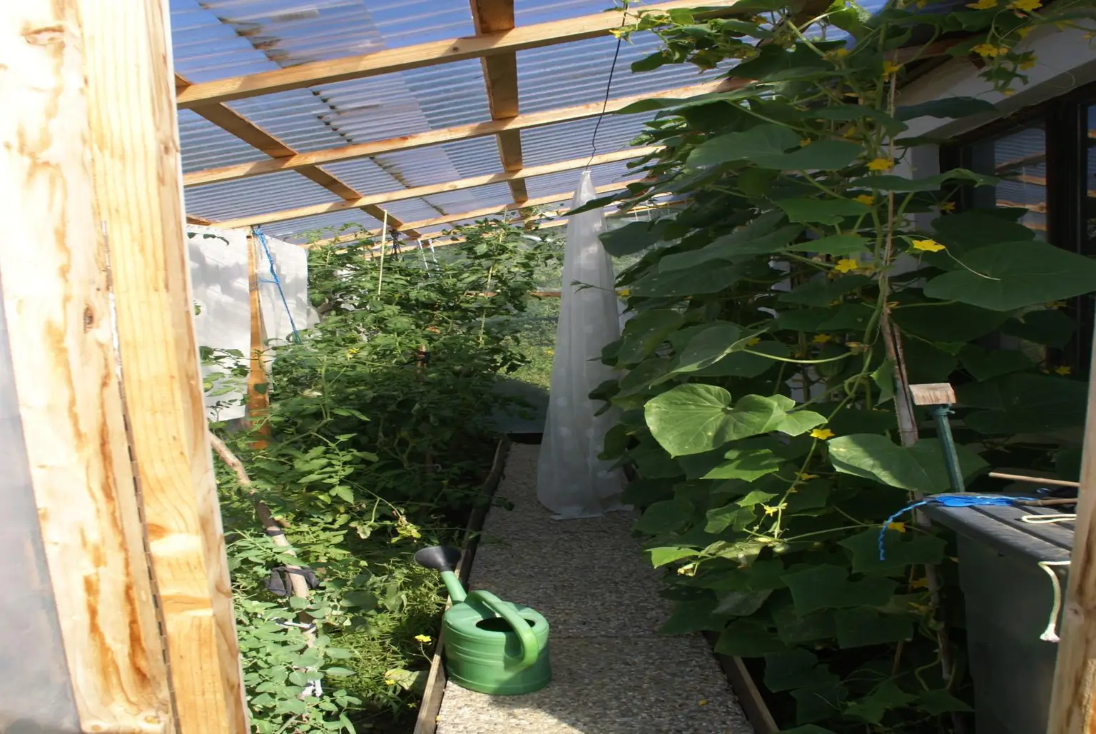 Stilvolles Einfamilienhaus in Hévíz – Modernes Wohnen am Waldrand