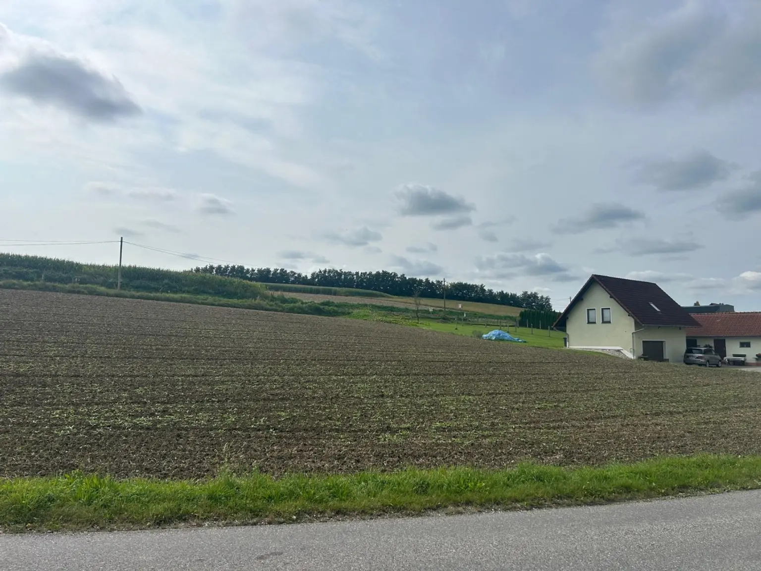 Gewerbegrundstück  mit MB  Widmung direkt an die Hauptstrasse B 137 angrenzend