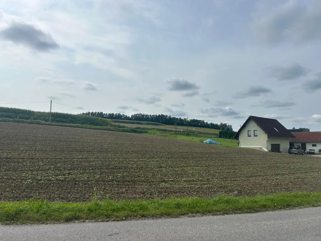 Gewerbegrundstück  mit MB  Widmung direkt an die Hauptstrasse B 137 angrenzend