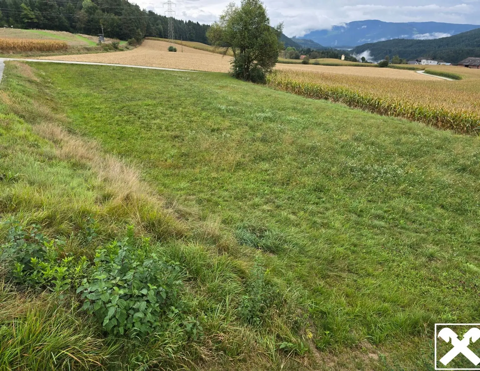 Ruhige Lage! Baugrund mit landwirtschaftlicher Nutzfläche im Bezirk Völkermarkt