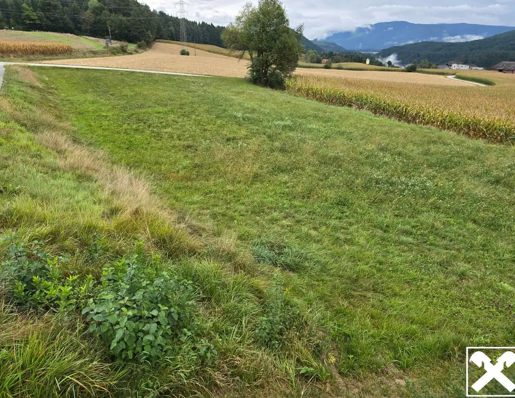 Ruhige Lage! Baugrund mit landwirtschaftlicher Nutzfläche im Bezirk Völkermarkt