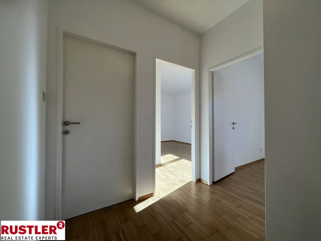 Wohnen zwischen den Schirmföhren mit Blick zum Husarentempel