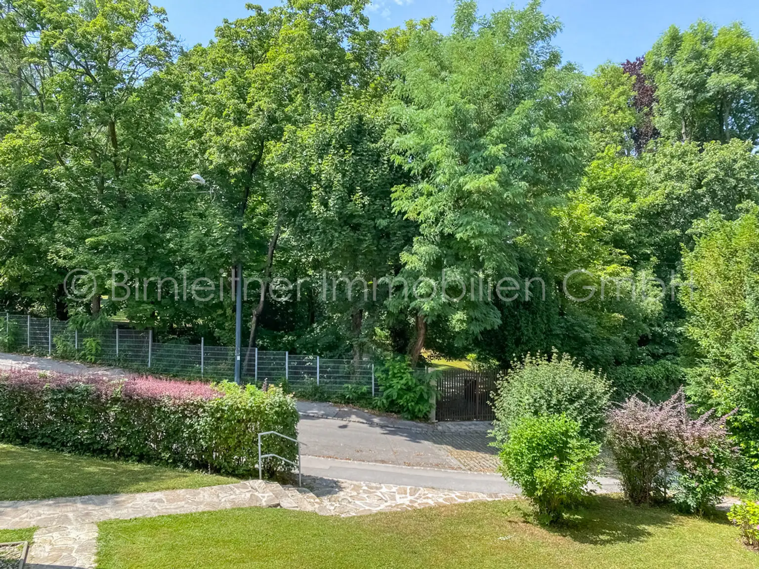 IMG_1574