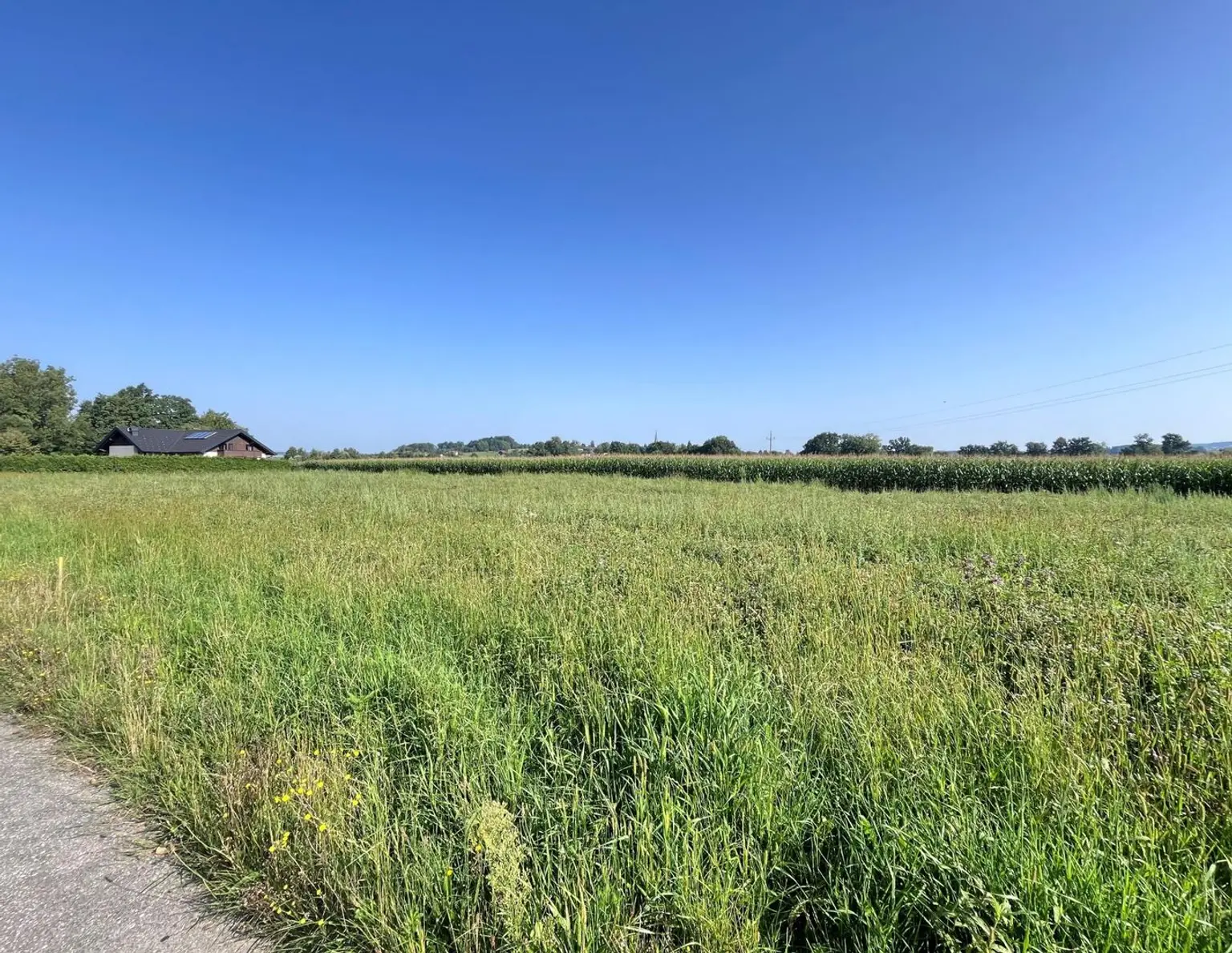 Ebener Baugrund in sonniger Ortsrandlage