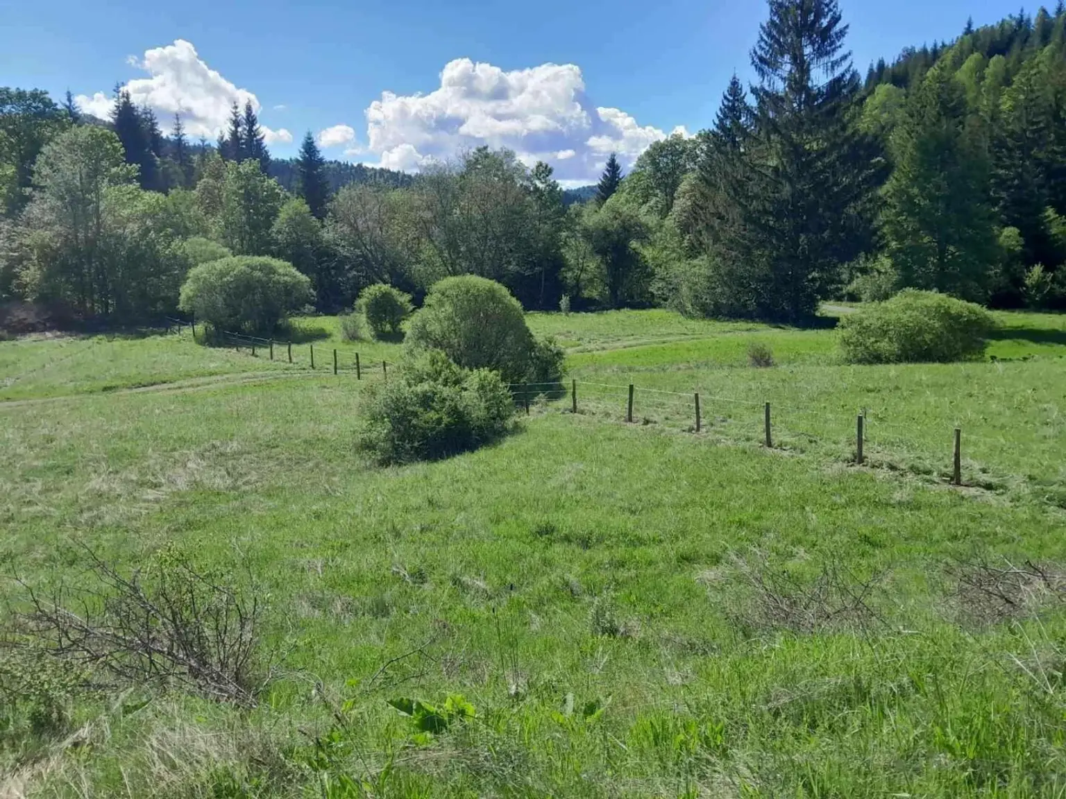 Bosnien: Auswanderer aufgepasst ! Traumhaft gelegene Ranch in Bosnien Herzegovina