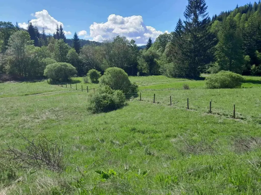 Bosnien: Auswanderer aufgepasst ! Traumhaft gelegene Ranch in Bosnien Herzegovina