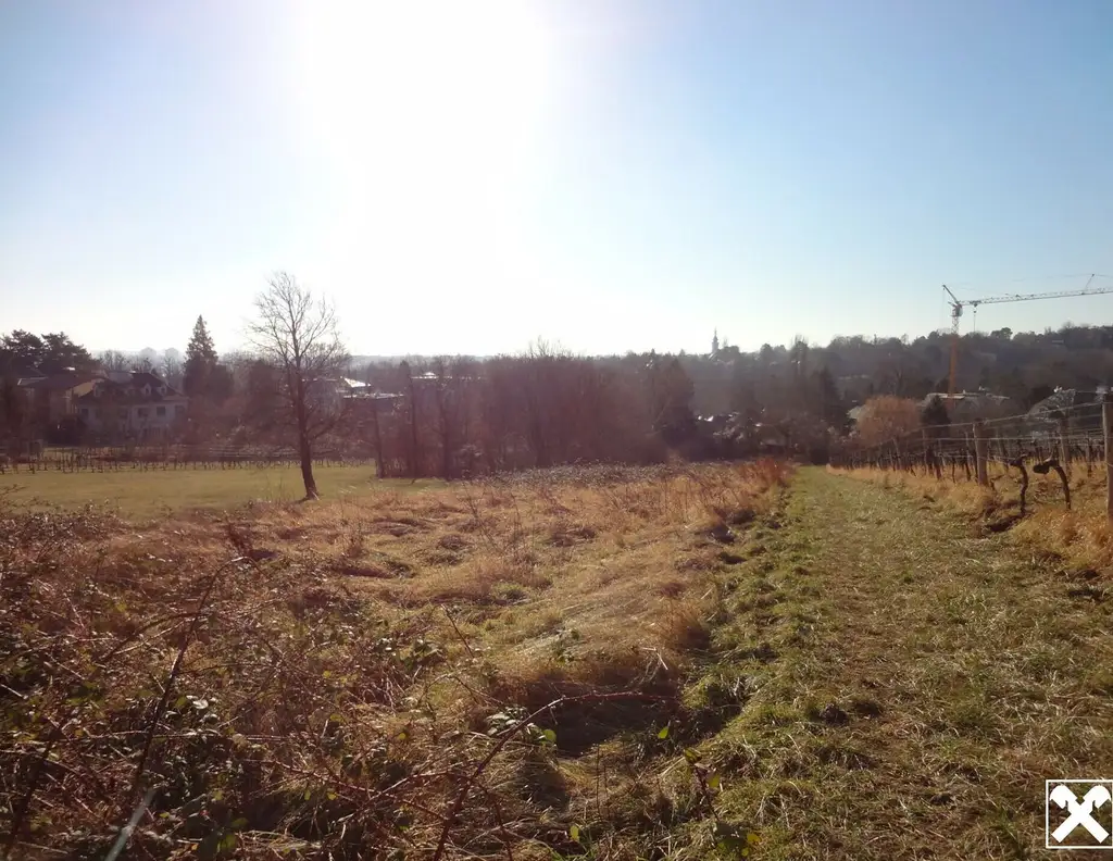 Anlage.: Grundstücke in Grinzinger Wald- und Wiesen Schutzgebiet " KEIN BAUGRUND"