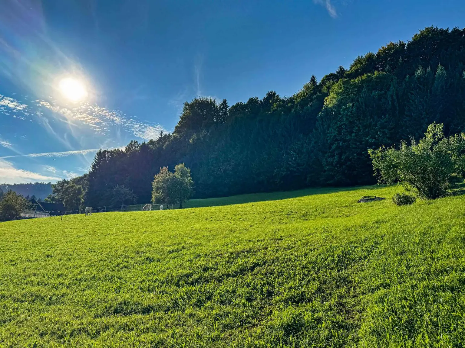 HERBSTANGEBOT  im schönen Almtal!  KEIN BAUZWANG !