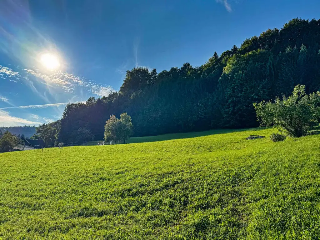 HERBSTANGEBOT  im schönen Almtal!  KEIN BAUZWANG !