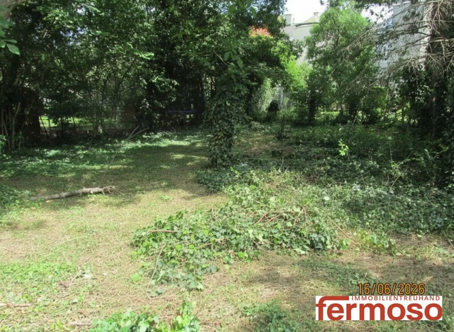 Traumgrundstück 696m² in 1110 Wien – Perfekt für Ihr Eigenheim!  Sehr grün und mit einem teilweisen sehr alten Baumbestand am Grundstücksrand