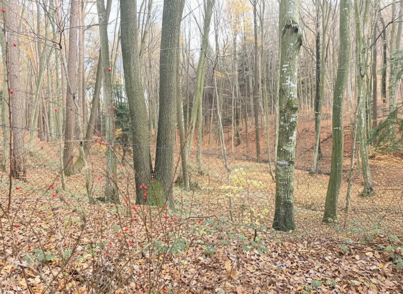 Idyllisches Ferienhaus in Stein: 90m² mit Terrasse und Pool im Grünen!