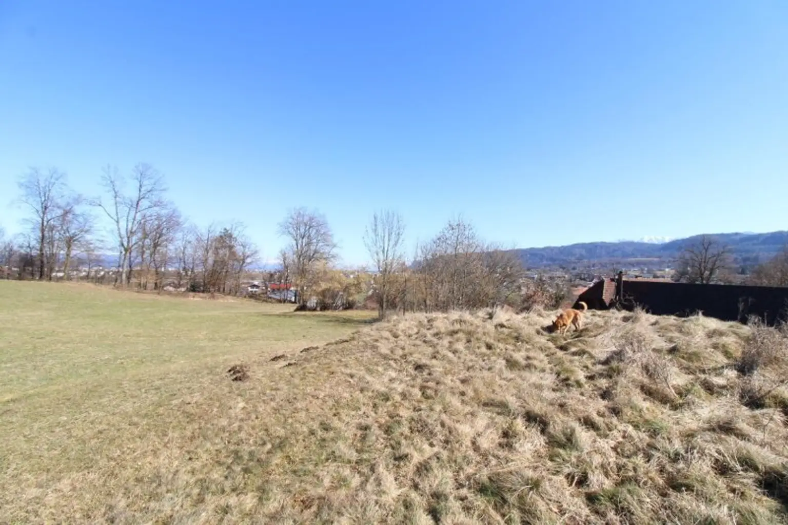Landwirtschaft mitten in Viktring- Baugrund  - Landwirtschaftliche Nutzflächen