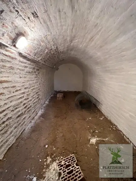 Einzigartiges Liebhaberobjekt mit toskanischem Flair, riesigem Garten, herrlichem Wintergarten, in Prottes - 35 Min von Wien - 8 Minuten von Gänserndorf