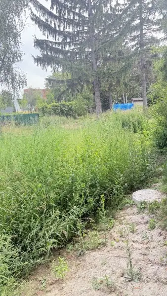 Baurechtsgrundstück in Aspern: Vertrag verlängerbar!