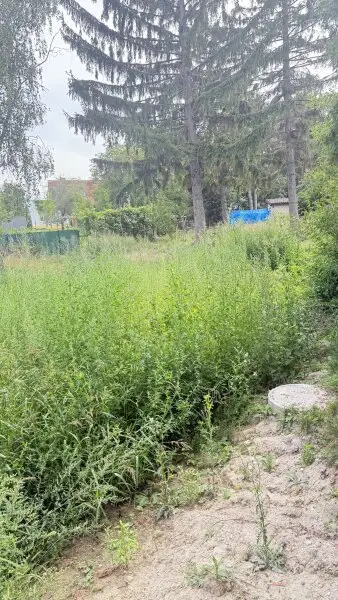 Baurechtsgrundstück in Aspern: Vertrag verlängerbar!
