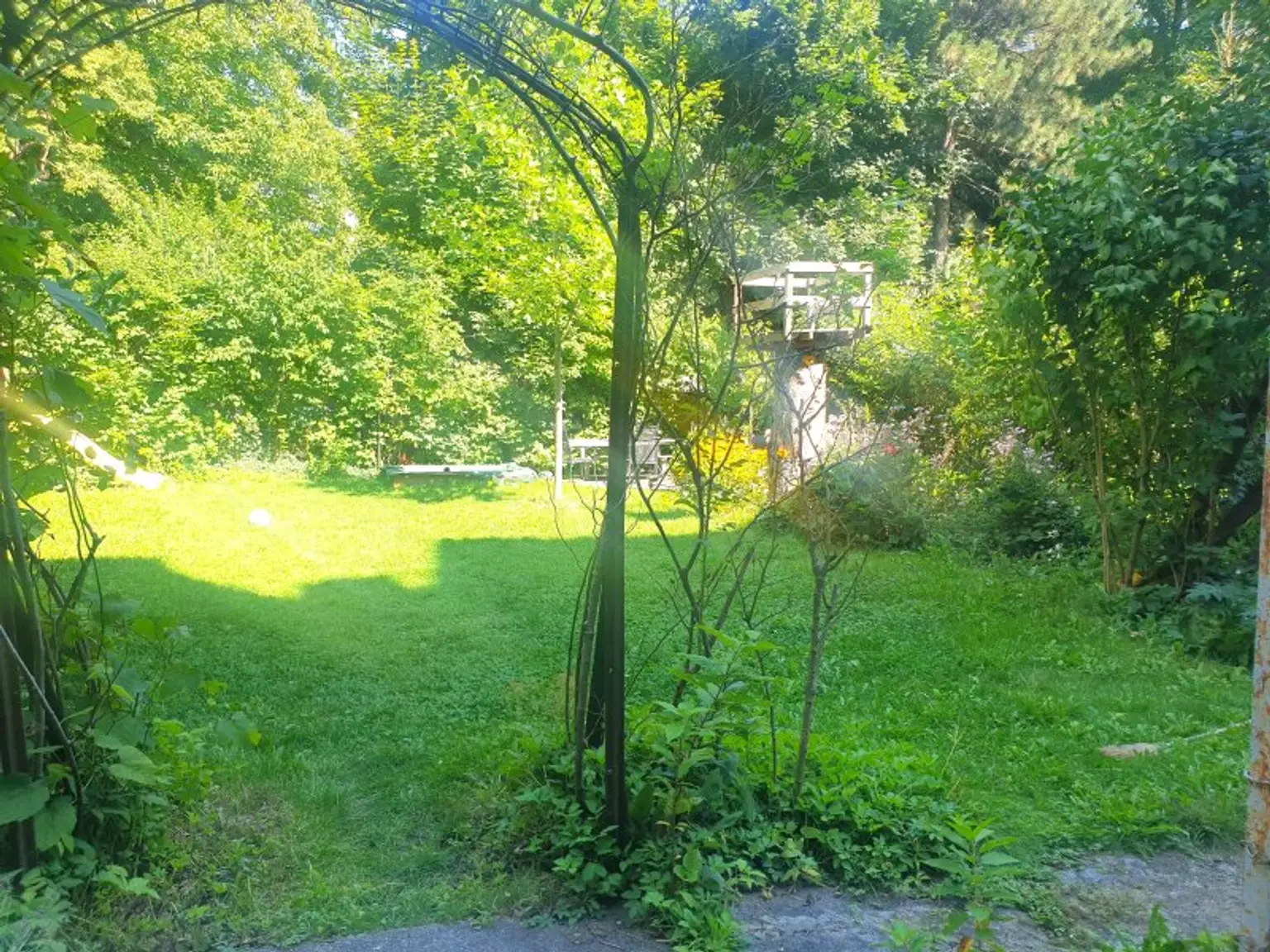Gemeinschaftsgarten