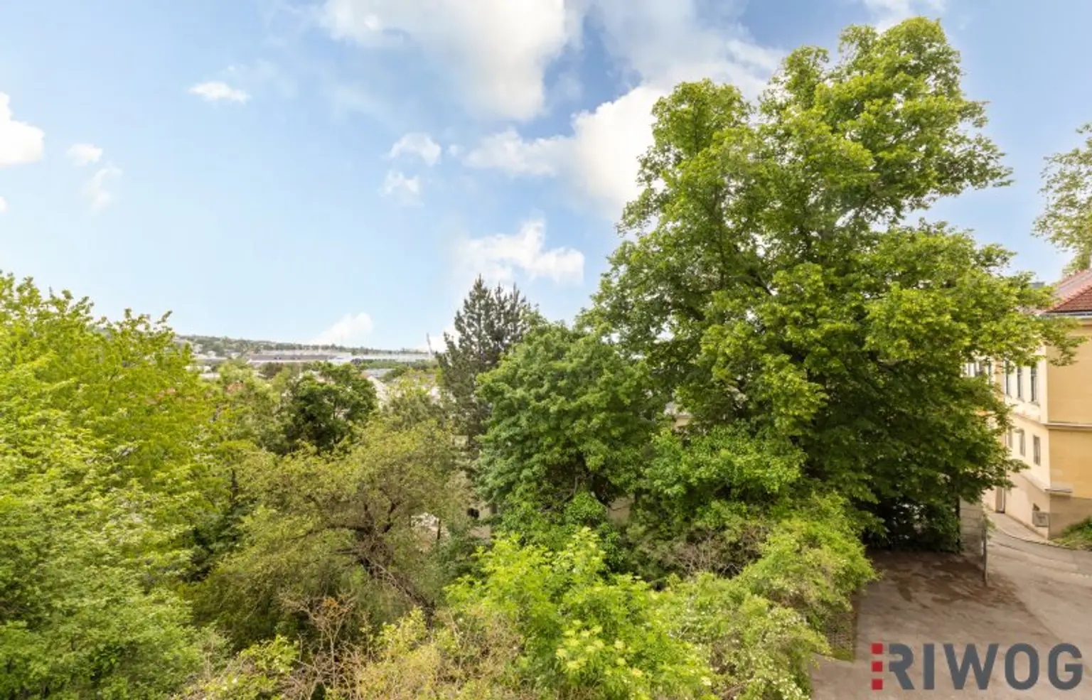 WIENTALBLICK | Lichtdurchflutete Wohnung in der historischen Villa Seutter mit 4,4m Raumhöhe & Blick auf denkmalgeschützte Linde | sanierungsbedürftig | + Garten optional
