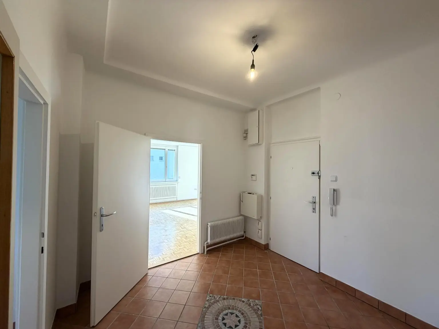 Wohnungseingang / Zugang Wohnzimmer